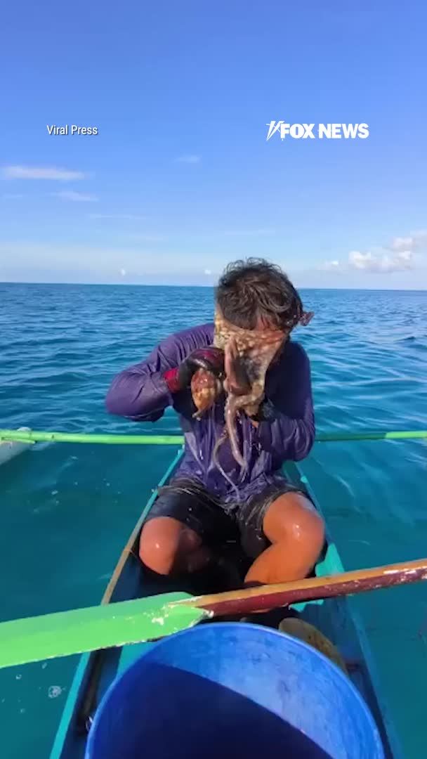 A day at sea takes a wild turn when a feisty octopus latches onto a fisherman's face and won't let go. The fisherman desperately tugs at its tentacles as the creature keeps its grip, turning the encounter into an unexpected wrestling match. After a tense back-and-forth, he finally manages to break free and pull the octopus away.
