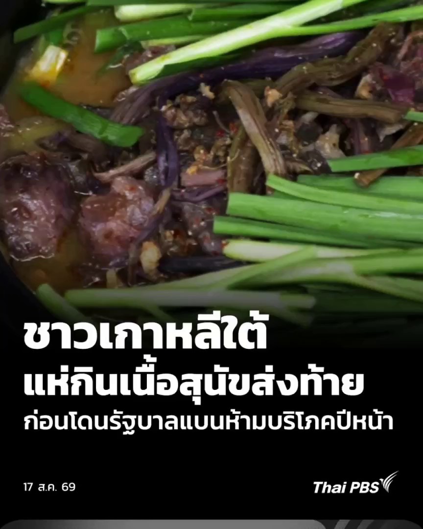 🥩 การบริโภคเนื้อสุนัข หนึ่งในประเทศที่ยังคงมีวัฒนธรรมแบบนี้คือ "เกาหลีใต้" แต่กำลังจะมีความเปลี่ยนแปลงครั้งสำคัญ ในปีหน้ารัฐบาลเตรียมสั่งห้ามบริโภคเนื้อสุนัขอย่างเป็นทางการแล้ว ผู้ที่ฝ่าฝีนมีโทษจำคุกสูงสุด 3 ปี #ThaiPBS #วันใหม่ไทยพีบีเอส