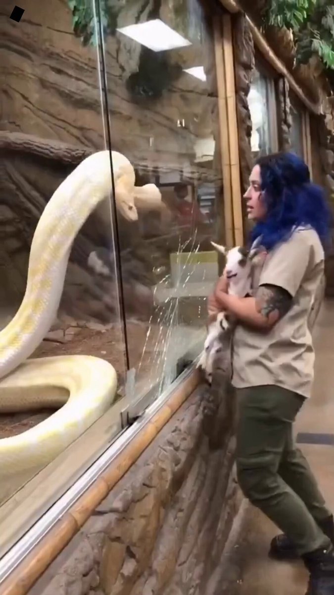You won’t believe how chaotic this became 😳😱