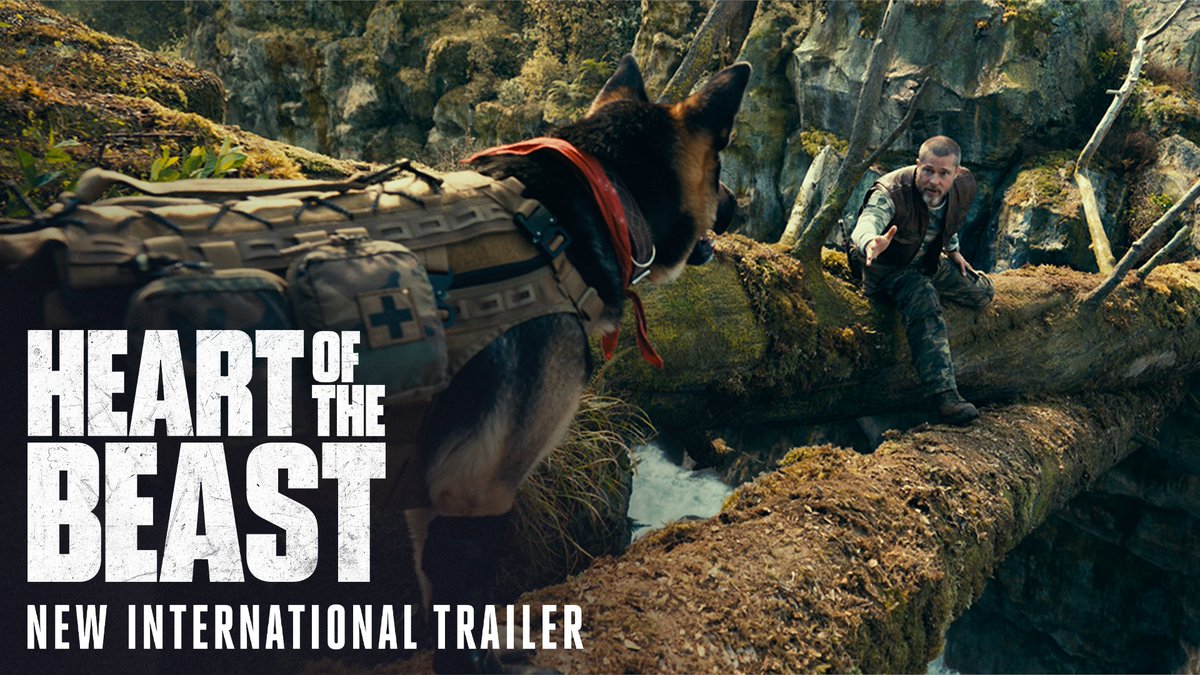 Survival depends on their bond. Watch the new trailer for #HeartOfTheBeast starring Brad Pitt and Odin. Only in cinemas September 23.