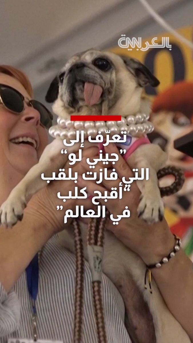 تعرّف إلى "أقبح كلب في العالم" فاز بمسابقة تشجع على تبني الحيوانات الأليفة