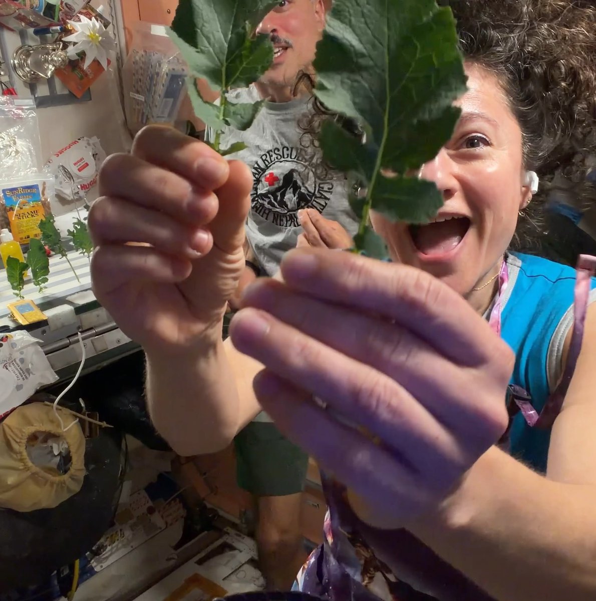 Chez ISS - Cooking on International Space Station with Jessica Meir and Anil On this episode we give you farm to table, simple, and delicious. This Kale and Wasabi Mustard was grown on ISS over one month. We harvested several leaves and put them to the test. It might be the best meal we have cooked so far. Thanks to the NASA veggie team for guiding us through the growth process and providing simple skills that could help provide food for future space travel. Mark Watney would be proud.