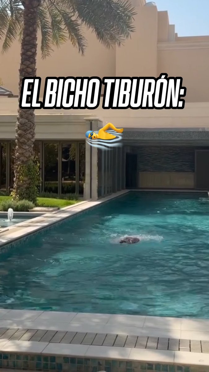 Nadaremos, Nadaremos... 🏊♂️ Así las mañanas de Cristiano Ronaldo (vía georginagio)
