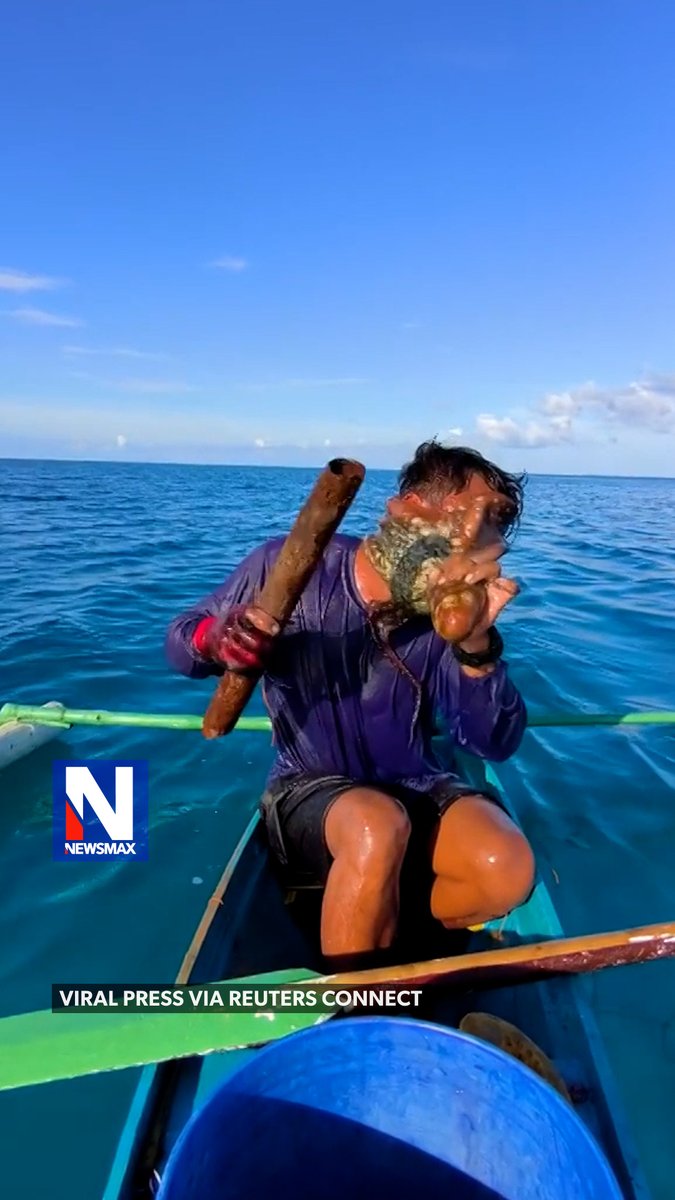 TENTACLE TROUBLE: Filipino fisherman Jesser Cervantes got the surprise of his life last month when he caught an octopus and it suddenly latched onto his face. He struggled to break the grip of the super-strong sea creature, and after hitting it several times with a piece of bamboo, the octopus eventually gave up and let go.