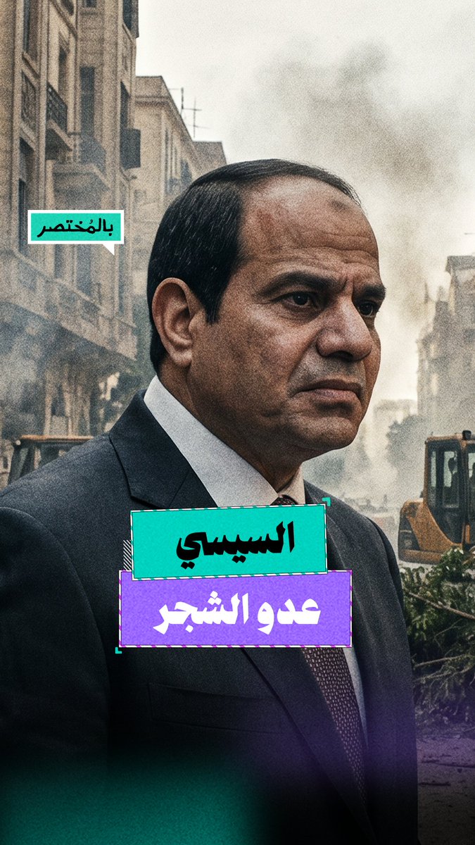 بالمختصر | لماذا يفضل السيسي الحجر على الشجر؟