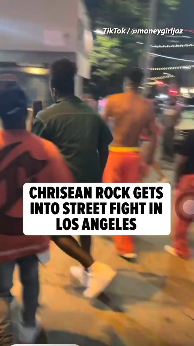 😳 Chrisean Rock was seen in a street fight in Los Angeles on Sunday. Credit: TikTok / Moneygirljaz