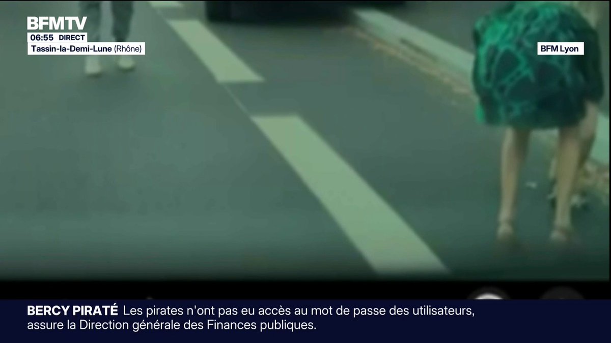 Le sort d'un renard mordeur fait débat à Tassin-la-Demi-Lune (Rhône)