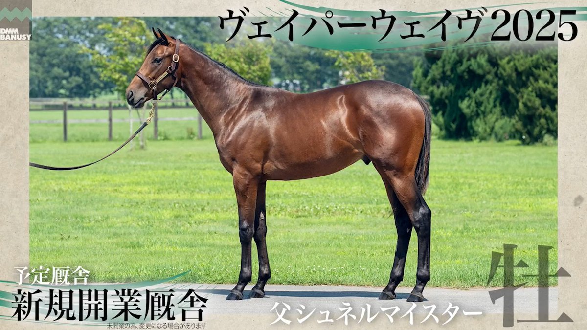 DMMバヌーシー2026年度2期募集馬 8月27日18時 1次募集開始 ヴェイパーウェイヴ2025(牡) 父 シュネルマイスター 生産 ノーザンファーム 厩舎 新規開業予定/関西 募集総額 3200万円/ 2000口 一口金額(一括) 16000円 一口金額(分割) 4000円(4回) 20%キャッシュバック 3200円