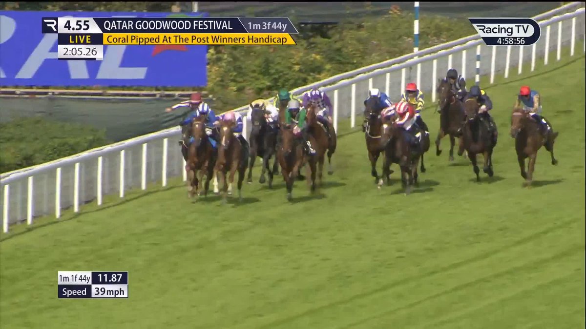 ✅ 580,000 gns purchase PUSH THE LIMIT - a Glorious Goodwood winner on the flat - is in training with Dan Skelton. 👍 Will run in the colours of Coates-Smith Racing Lp.