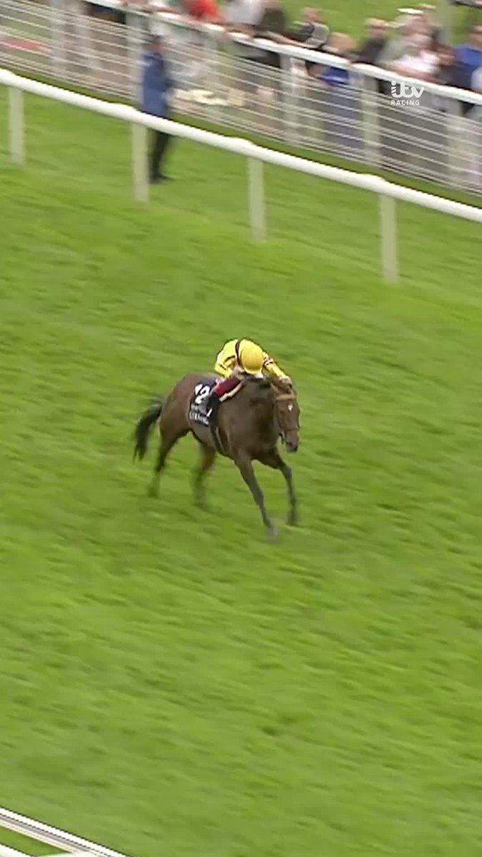 When MARSHA stole the Nunthorpe from LADY AURELIA in 2017! 🤯