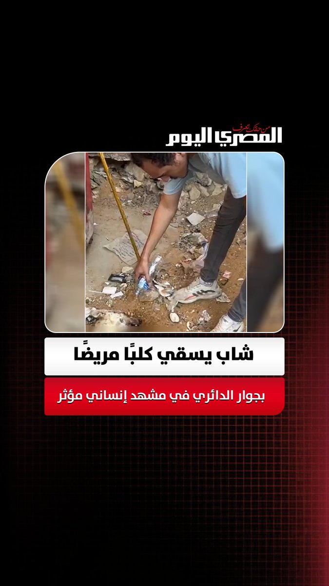 «ارحموا من في الأرض».. شاب يسقي كلبًا مريضًا بجوار الدائري في مشهد إنساني مؤثر