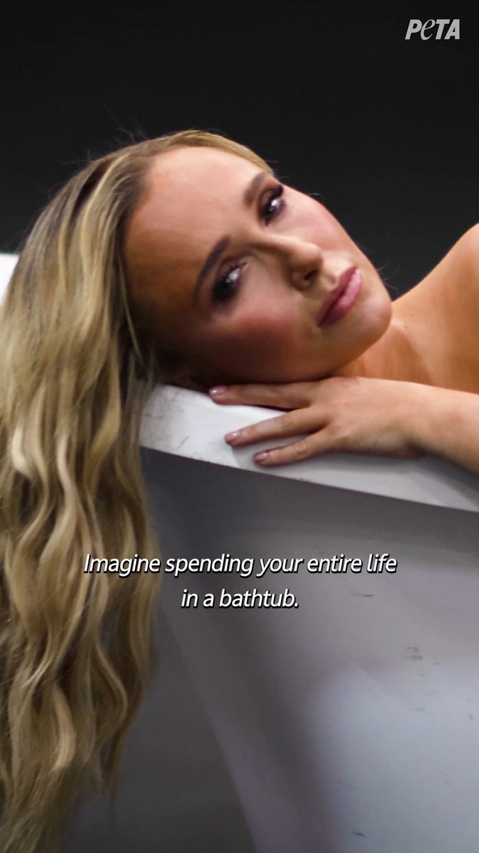 Hayden Panettiere became a household name playing a hero on TV, but in real life she was a hero to animals ๐ฉต Two weeks before her passing, she confined herself to a bathtub to protest marine parks like SeaWorld. Help continue her fight. Never buy a ticket to marine parks.