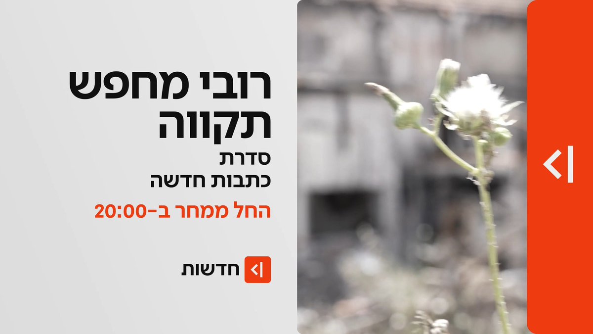 החל ממחר במהדורת כאן חדשות | רובי מחפש תקווה: סדרת כתבות מיוחדת Rubi Hammerschlag | רובי המרשלג