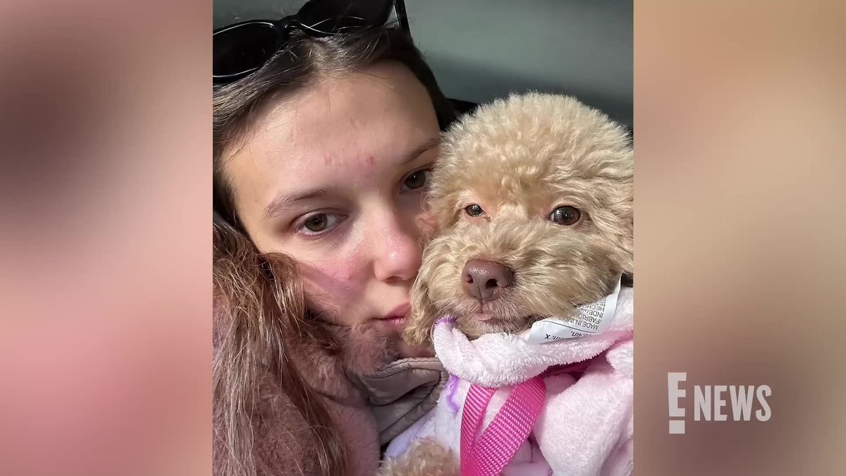 Millie Bobby Brown shared how her and Jake Bongiovi's 6-year-old dog Winnie has connected with their daughter since welcoming her into their family in 2025.