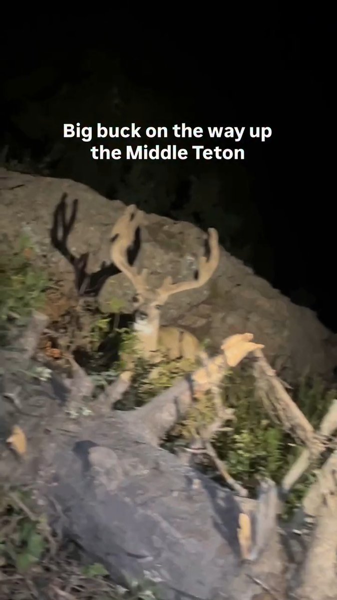 The things you see creeping at night 👀🦌🏹 📸Quinn Kunz #FindYourAdventure #outdoors #hunting #deer