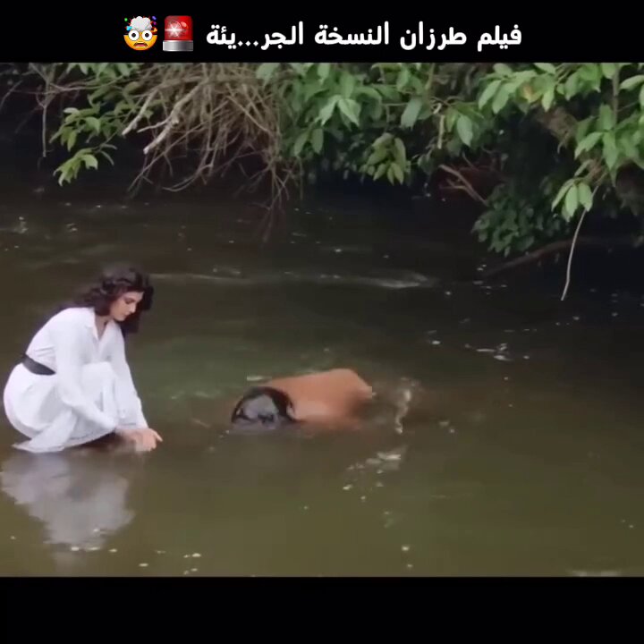 طرزان خرج من وسط الماء وسحبها ما دريت هوا بينقذها او ايش 🤨🤦‍♂️ هنا طرزان يشد البنت في الغابة ما ينقذها 😂😂 فيلم طرزان النسخة الجررريىئة لا يفوتك الفيلم 🎬👌