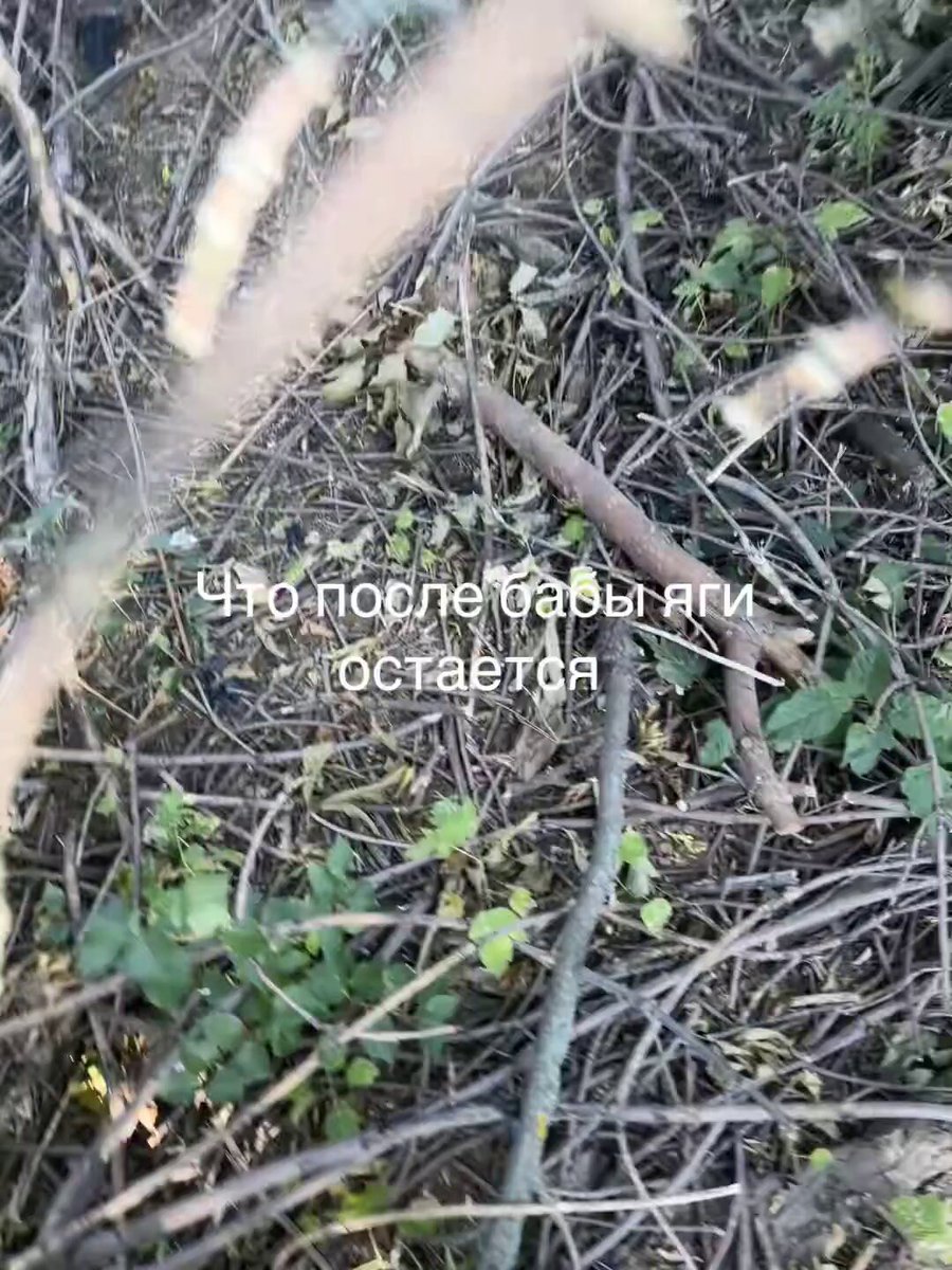 Unpleasant situation for ru worms