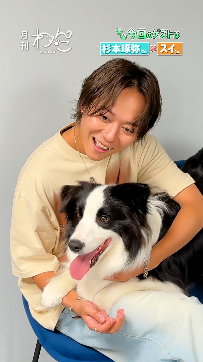 【YouTube】配信しました!🐶 杉本琢弥さんが1年ぶりに遊びにきてくれました!(ボーダーコリー|月刊わんこ撮影オフショット)本編はYouTubeへ→ YouTubeより