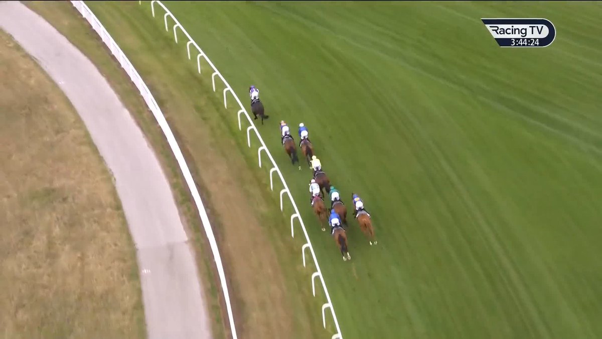 Ombudsman had an absolute nightmare of a passage in the Juddmonte International Stakes. Nothing went right for the horse today! 🤬
