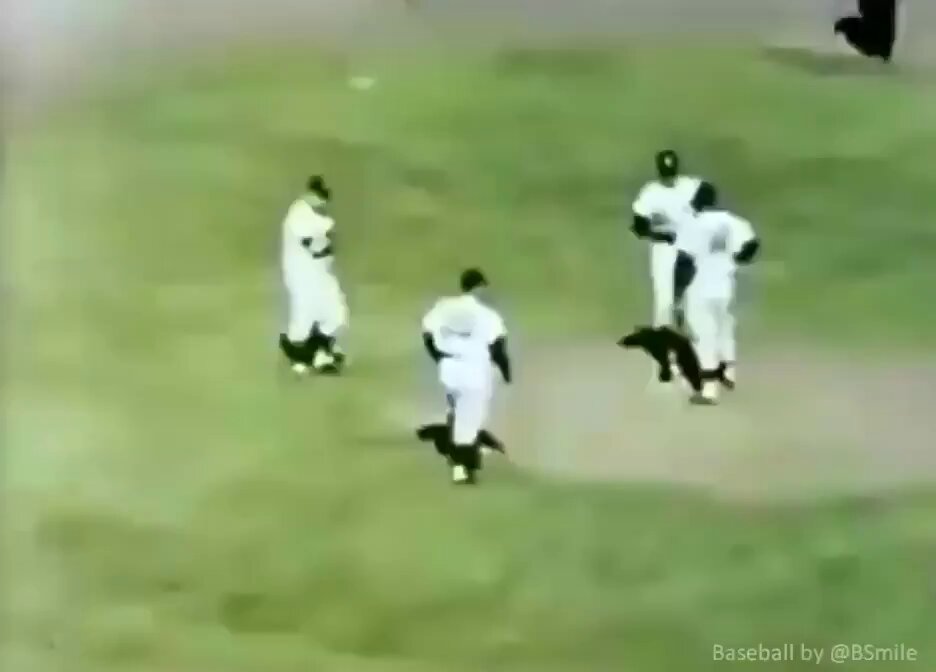 New York #Yankees second baseman Bobby Richardson snags SFGiants batter Willie McCovey's sizzling line drive for the final out of the 1962 World Series! ~ Happy 91st Birthday Bobby! #MLB #History #RepBX
