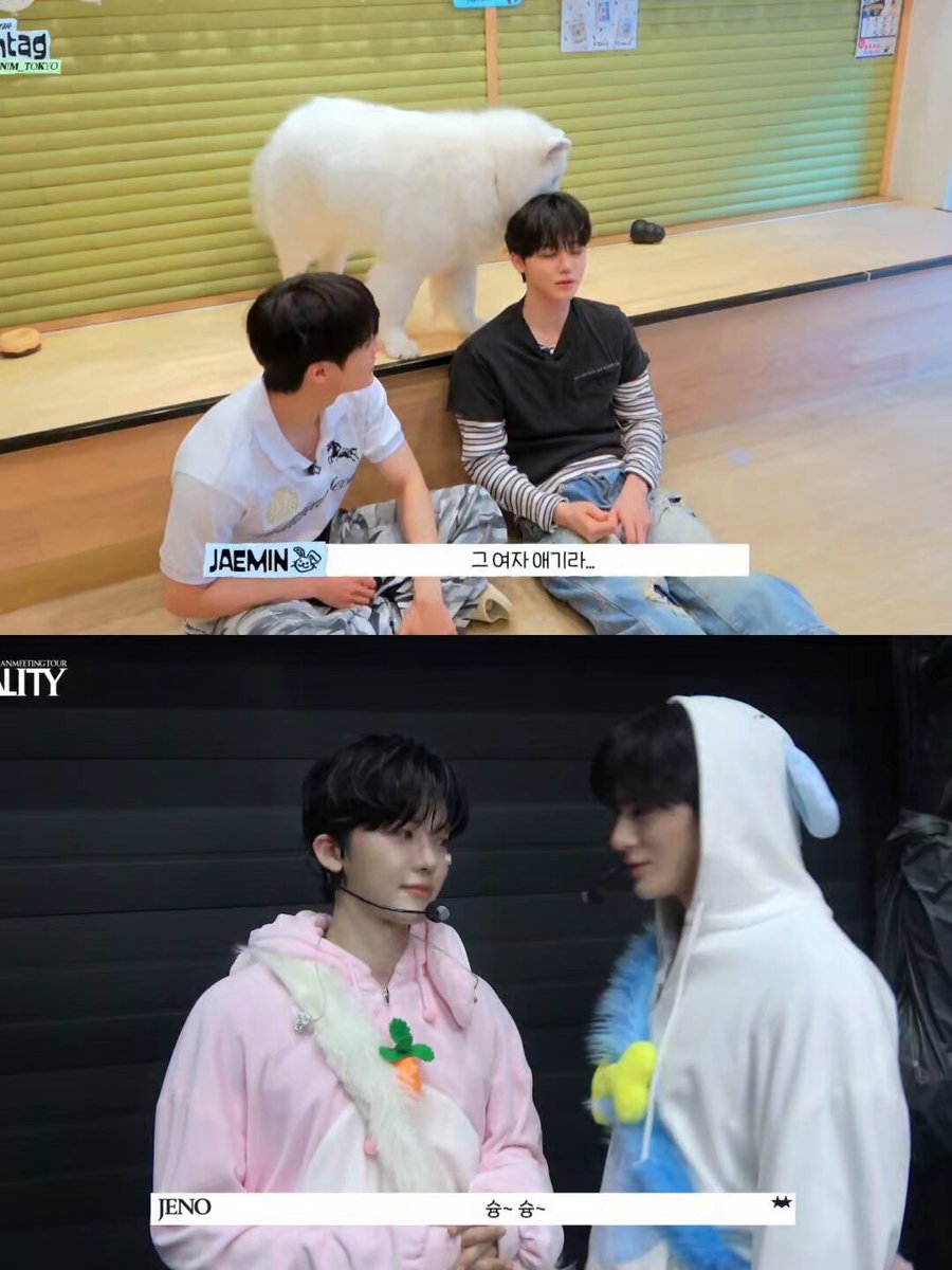 ฉายาขวัญใจเจโน่ไม่ได้มาเล่นๆ ทำซามอยด์ติดงอมแงมทั้งคนทั้งหมา น้องแจมแค่อยู่เฉยๆก็มาวนไม่หยุด คือเอนดุวอ่ะละพฤติกรรมเหมือนเปี๊ยบ 55555555555555555555