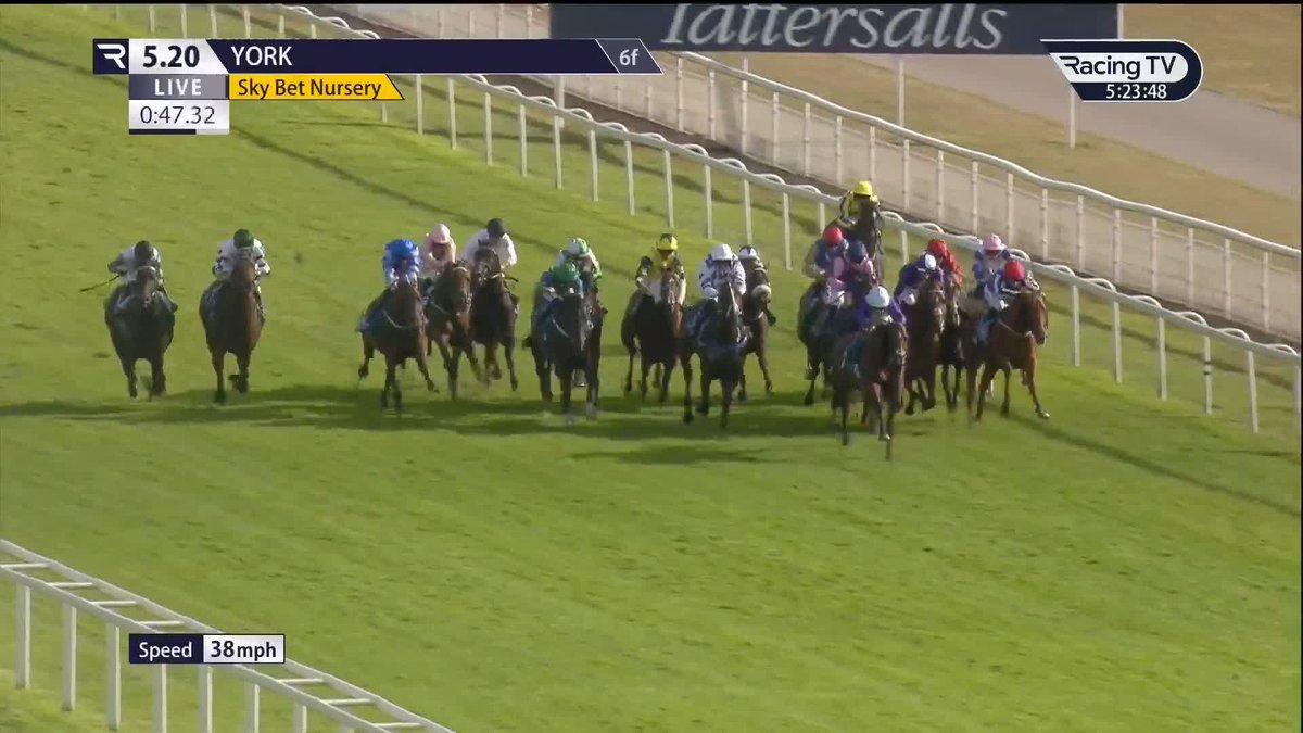 Henley On Thames was in full flow in the Sky Bet Nursery York Racecourse for Amo Racing, David Egan and Kevin Philippart de Foy Racing 🟣⚪️ But was third-placed The Dancing Pirate also at sea during the final furlong?