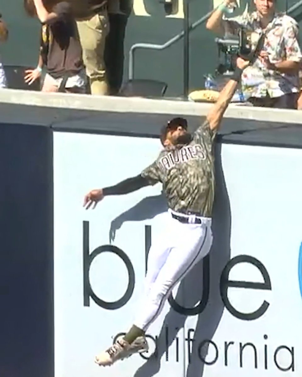 Fernando Tatis Jr. is no stranger to incredible home run robberies 😮 He started to griddy after he robbed the Cardinals of a homer in 2023