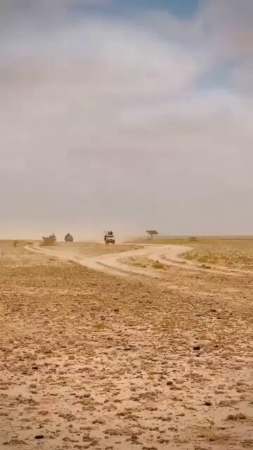 التزمت سلطات إقليم أرض الصومال الانفصالى ،الصمت حيال حفاوة ولاية الشمال الشرقي باستقبال العقيد علي أحمد إسماعيل "أشكاتو" ووحدته، بعد اعلان انشقاقهم وانضمامهم الى قوات الجيش الصومالى. يبدو أن الاقليم أصبح عاجزا عن الرد، لأن الضربة أصابته فى مقتل ، فأشكاتو لم يكن جندياً عادياً، بل كان قائداً في منطقة يوبي بسناج، المنطقة ،التي لطالما زعم الاقليم الانفصالى سيطرته عليها رغم الرفض المحلي المستمر. عندما يغادر ضابط بهذه الرتبة وبرفقة جنوده، ويعلن رفضه الصريح لـ"سياسة التجزئة"، فإن الرسالة تتجاوز الحدث العسكري إلى عمق الشرعية. ويبدو التأثير المحتمل هذا الانشقاق عميقا على أرض الصومال خاصة في المناطق الشرقية المتنازع عليها (سول وسناج) ،إذ قد يشجع ضباطاً آخرين أو عشائر مترددة على إعادة حساباتها، ويفتح الباب أمام تساؤلات حول تماسك الجيش والولاءات القبلية بعد سنوات من الاعتماد على سردية "الاستقرار والاستقلال". ويأتي الانشقاق نفسه في توقيت حساس بعد الاعتراف الإسرائيلي، حيث يفند محاولات الكيان الانفصالي الظهور كدولة مكتملة الأركان، بينما تتخلى عنه قياداته العسكرية !!
