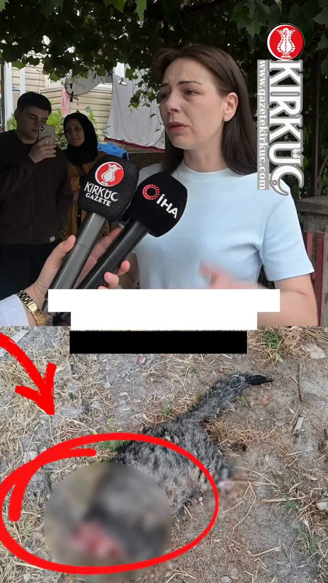 🚨 AKP'nin katlima yasasından Güsoder çetesinin hedef göstermesinden cesaret alan caniler Kütahya Fatih Mahallesi'nde Kedinin kafasını ve bacaklarını keserek hayvanseverlerin yaşadığı apartmanın kapısına bıraktığı idda ediliyor . T.C. Kütahya Valiliği Kütahya İl Emniyet Müdürlüğü