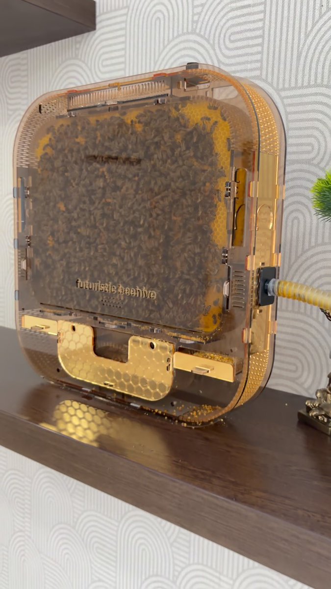 Real homemade honey