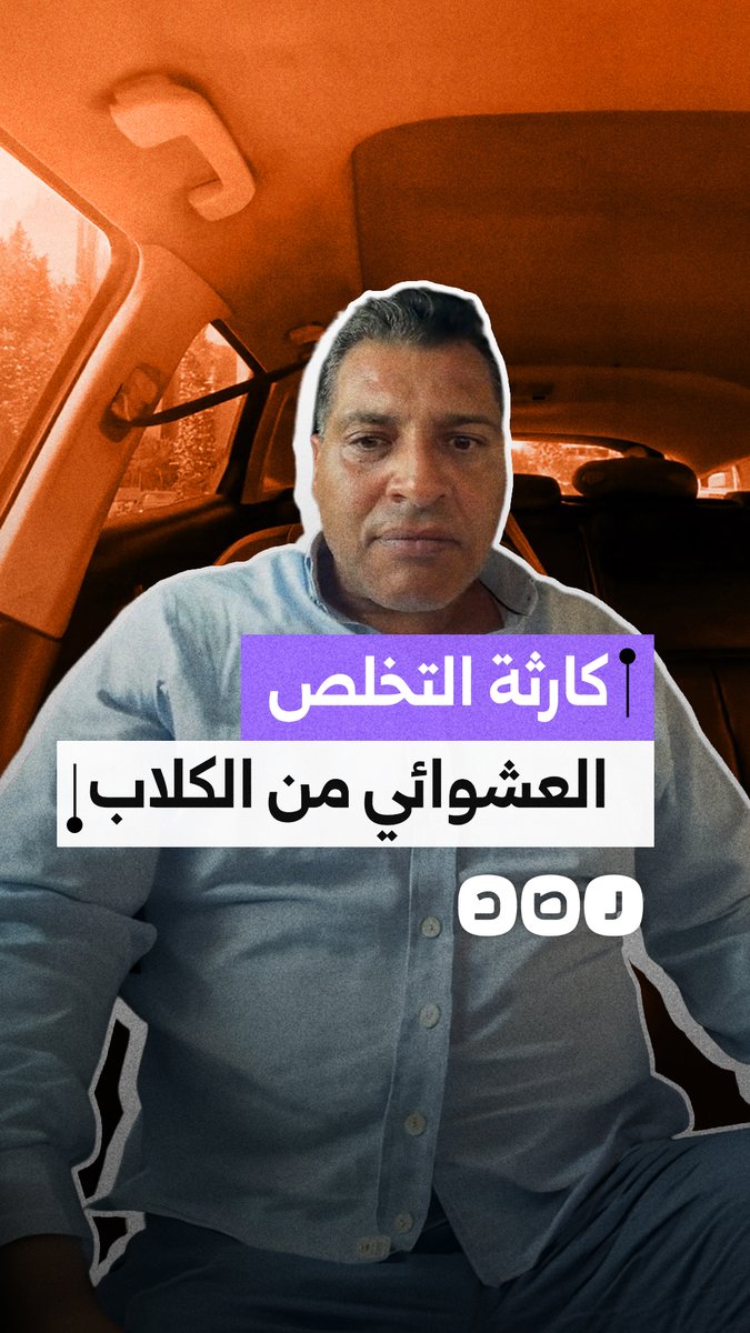 مواطن ينتقد انتشار ظاهرة التخلص العشوائي من كلاب الشوارع