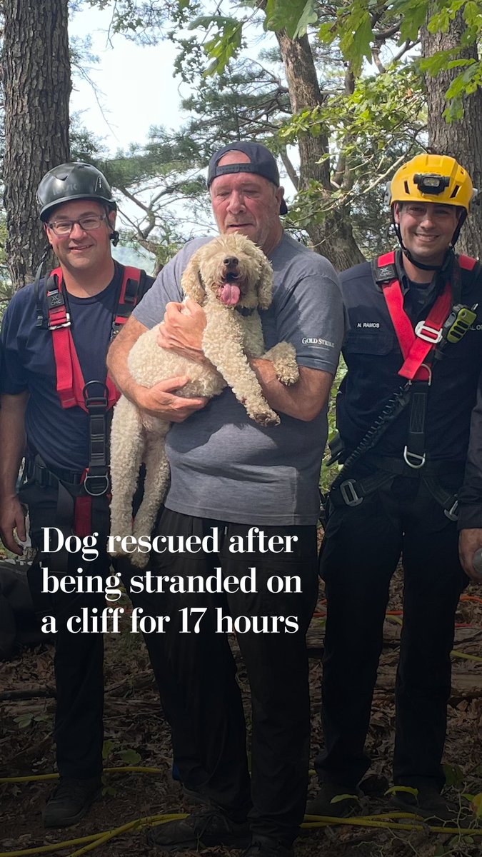 While on a visit to a friend's farm, Carl the dog went missing. “Then we heard him barking down the side of the cliff. And this is a 200-foot drop, straight wall going down,” said his owner Scott Grissom. Read about the rescue here: