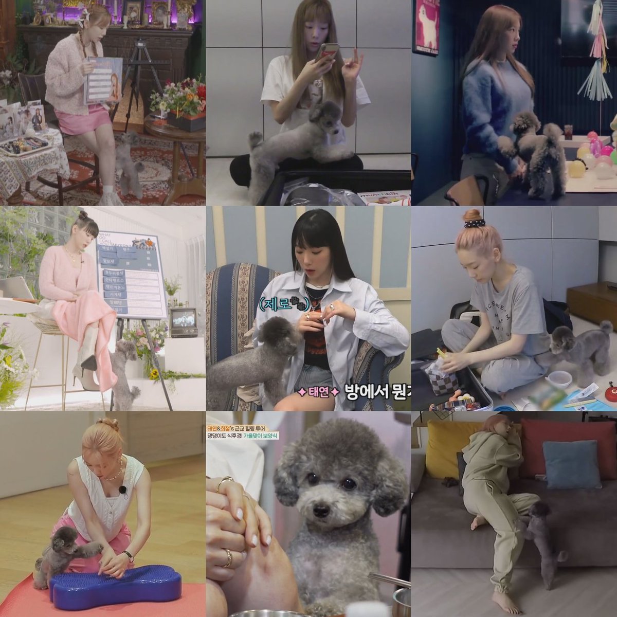 zero doing everything in his power to get taeyeon’s attention is the cutest thing ever 😭