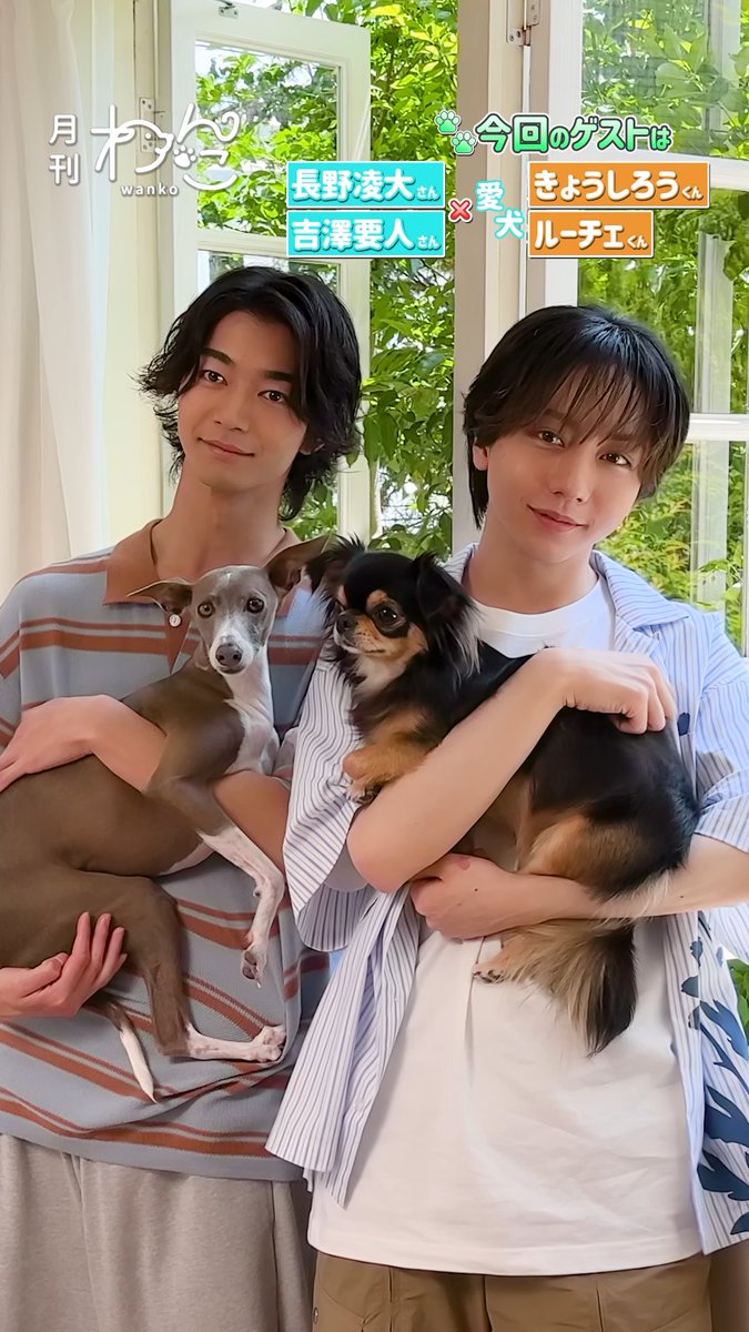 【YouTube】配信しました!🐶 原因は自分にある。長野凌大さん&吉澤要人さんが愛犬を連れて、遊びにきてくれました! 本編はYouTubeへ→ YouTubeより #原因は自分にある 原因は自分にある。 #長野凌大 #吉澤要人