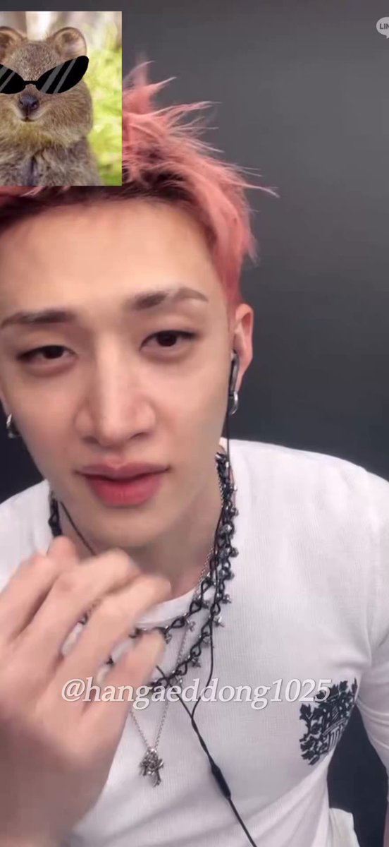 260820 메이크스타 영통팬싸 #방찬 반대로 말하기 게임! 👤: 낮! 🐺 : 밤! 👤: 위! 🐺 : 아래! 👤: 싫어해 🐺: .........ㅋㅋㅋ좋아해 👤: 헤어지자 🐺: 어... 다시 만나자ㅋㅋㅋㅋ 이게 아닌데ㅜㅜ