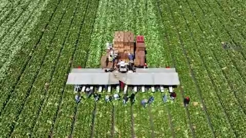 Taylor Farms changed the way Americans eat fresh produce by offering pre-packaged salads and by supplying to major fast food chains. Now, after a cyclosporiasis outbreak, the company is again changing how America eats. Tom Polansek explains