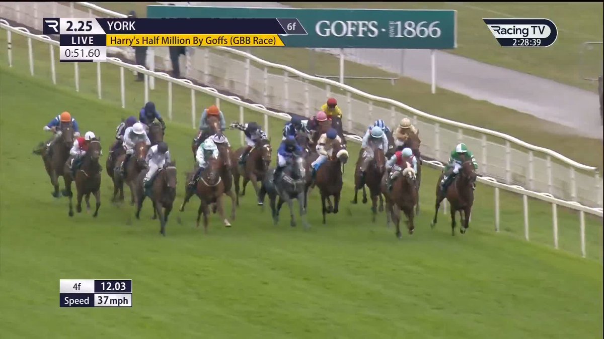 The Group 1 winner Sun Goddess comes from nowhere and runs away with the huge-money Harry's Half Million By Goffs! York Racecourse