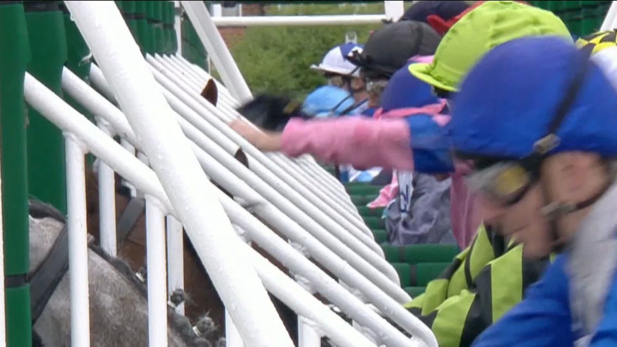 🗣️ "HOWLER! ABSOLUTE HOWLER!" The panel analyse Callum Shepherd and Checkandchallenge's start in the Sir Kevin Sinfield 7 In 7 Grand Finale Handicap...