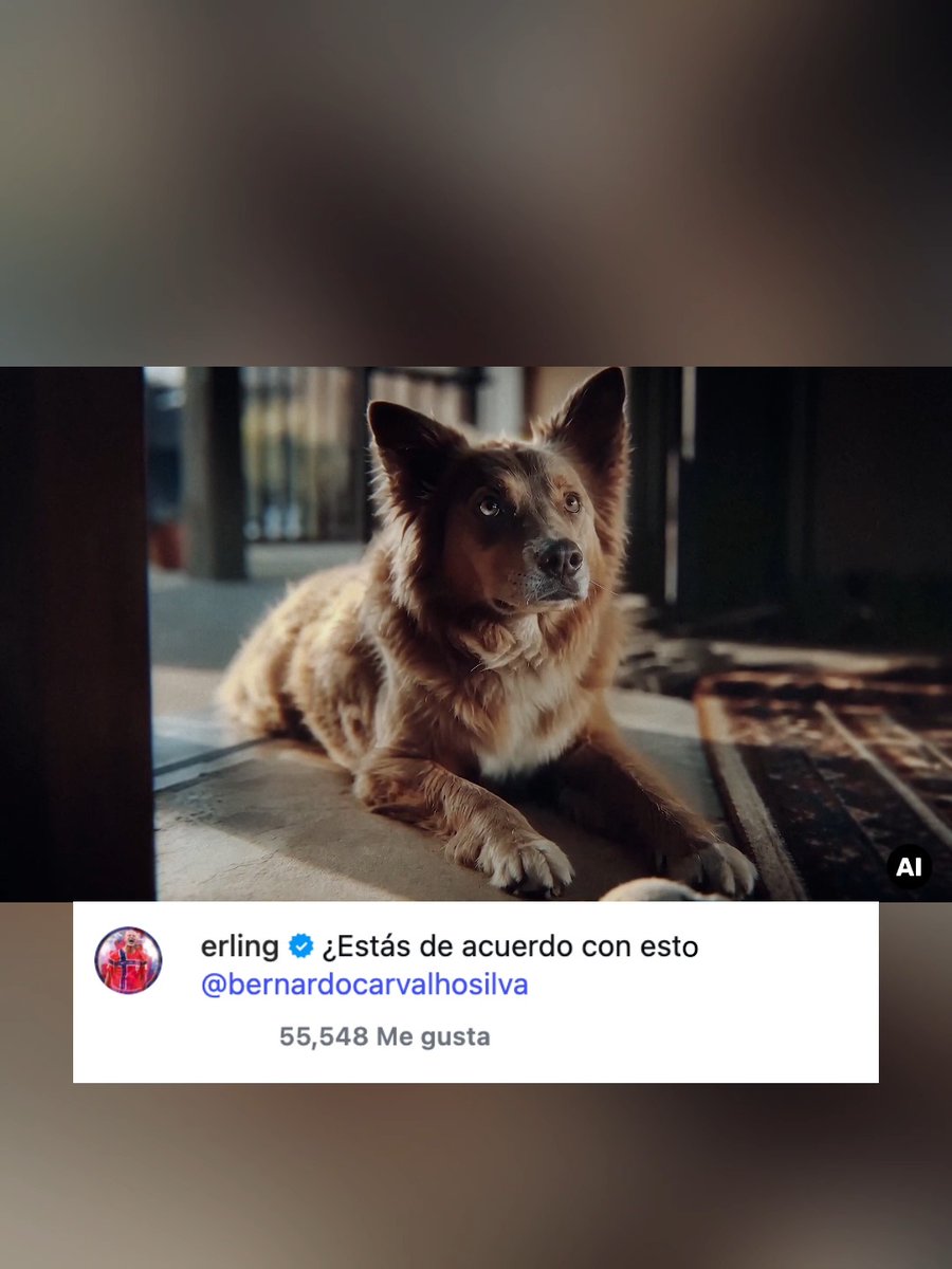 ¿Y ESTO DEL REAL MADRID QUÉ FUE? 😳 ¡Hasta Haaland lo sabe! El club blanco recibió fuertes críticas por el video de presentación de Bernardo Silva hecho con IA ¿A ustedes qué les parece? 👀