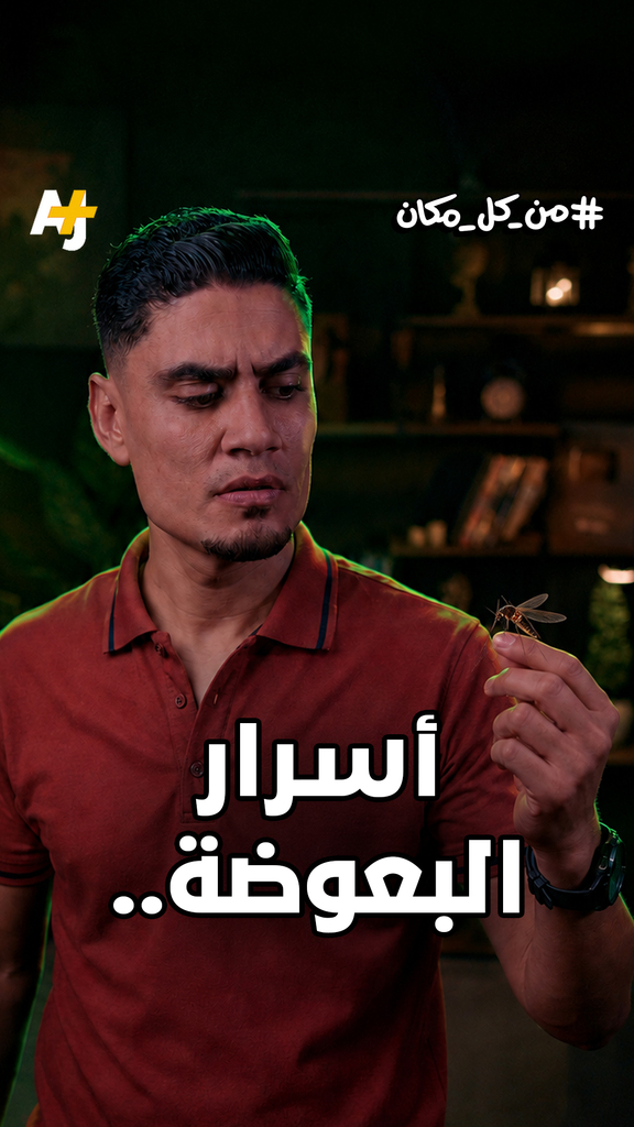 لماذا تختارك البعوضة أنت بالذات وتترك من بجانبك؟ أسرار ربما ستعرفها أول مرة عن البعوضة في يوم البعوض العالمي.