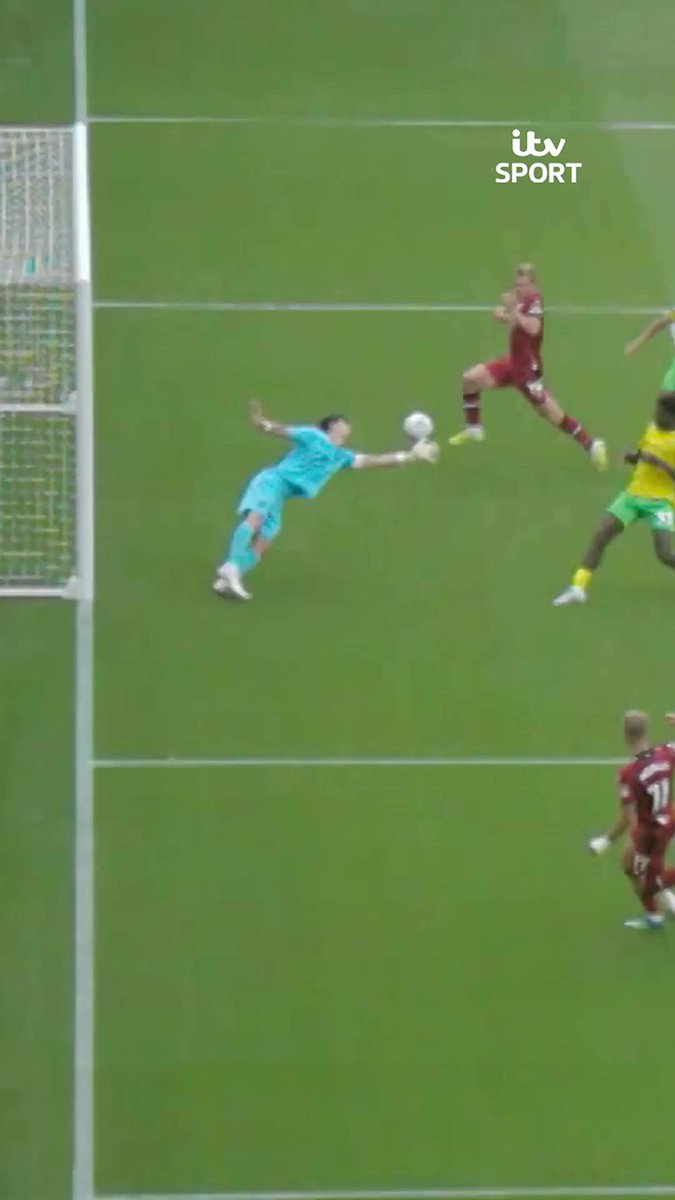 West Brom striker Aune Heggebo has been banned for two matches for the ‘successful deception of a match official’ after scoring this goal against Norwich