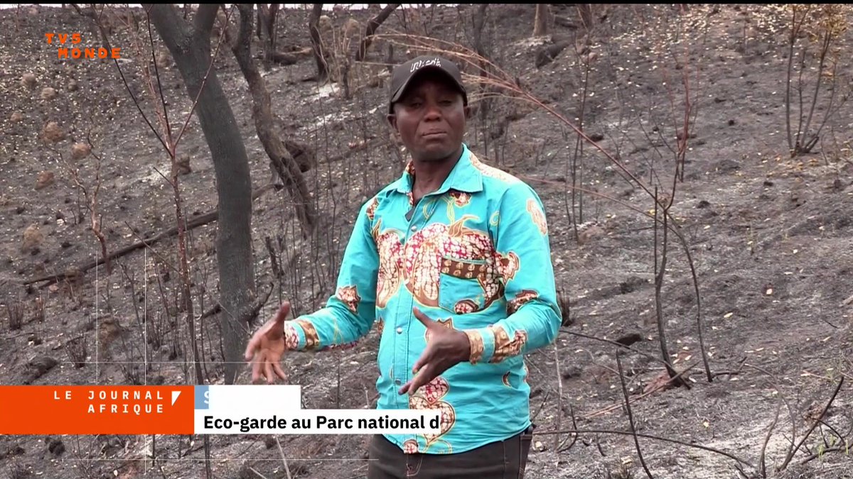 Au Burundi, le parc national de la Ruvubu est régulièrement ravagé par les feux de brousse. Ces dernières semaines, plus de 10 000 hectares ont été détruits et les animaux quittent cette aire protégée. En cause : les incendies criminels et le manque de moyens des écogardes.