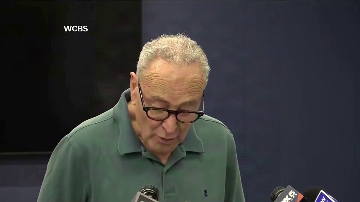 SCHUMER: Far-Left Democrats who want to abolish prisons, police, and the border are "impressive candidates" who "fit their states."