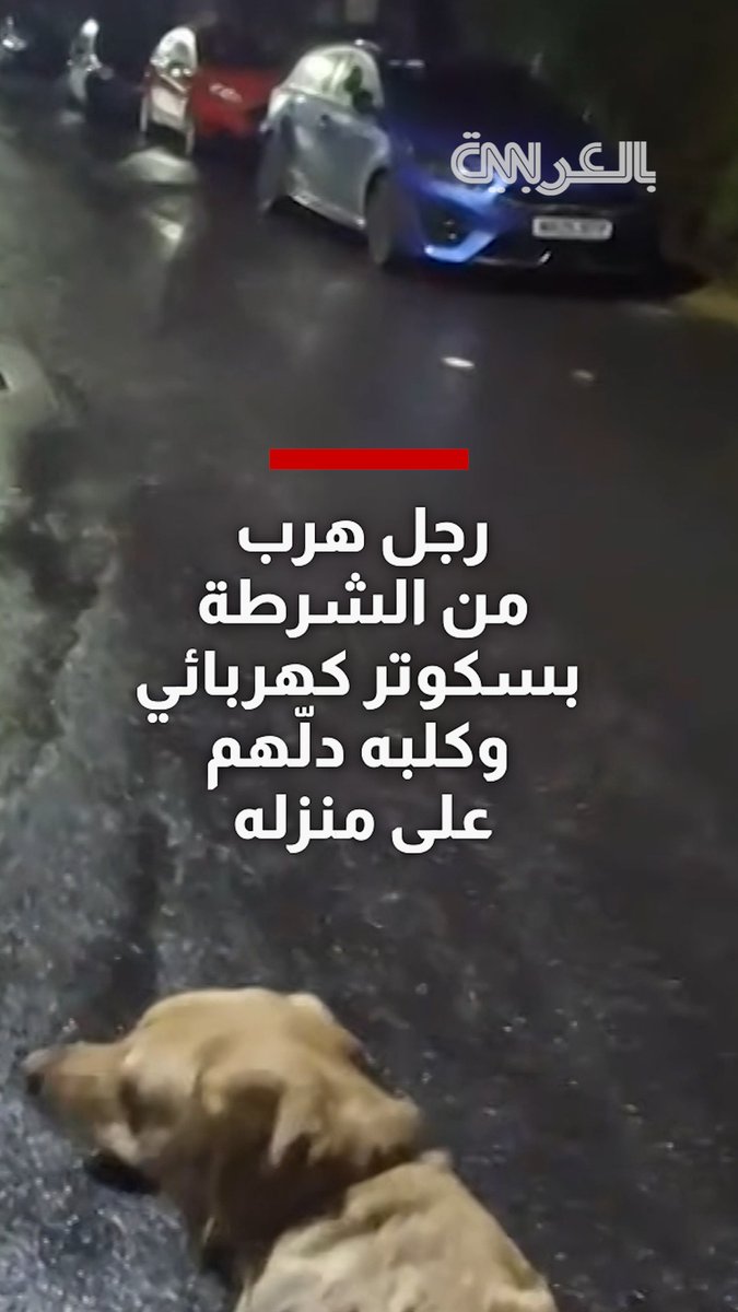 هرب من الشرطة بسكوتر كهربائي وكلبه دلّهم على منزله