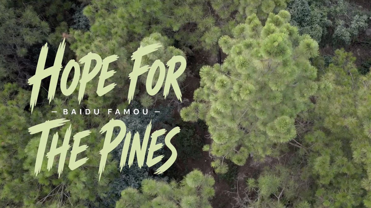 Famou Agent is advancing AI4S in forestry, helping researchers at Nanjing Forestry University detect pine wilt disease at its earliest, most treatable stage. 🌲 Watch the full story ↓