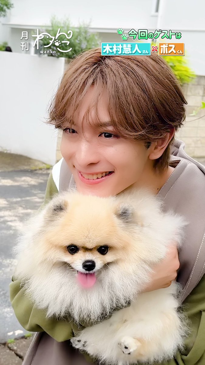 【YouTube】配信しました!🐶 FANTASTICS 木村慧人さんが遊びにきてくれました!(ポメラニアン|月刊わんこ撮影オフショット)本編はYouTubeへ→ YouTubeより FANTASTICS from EXILE TRIBE #FANTASTICS #木村慧人 #ポメラニアン