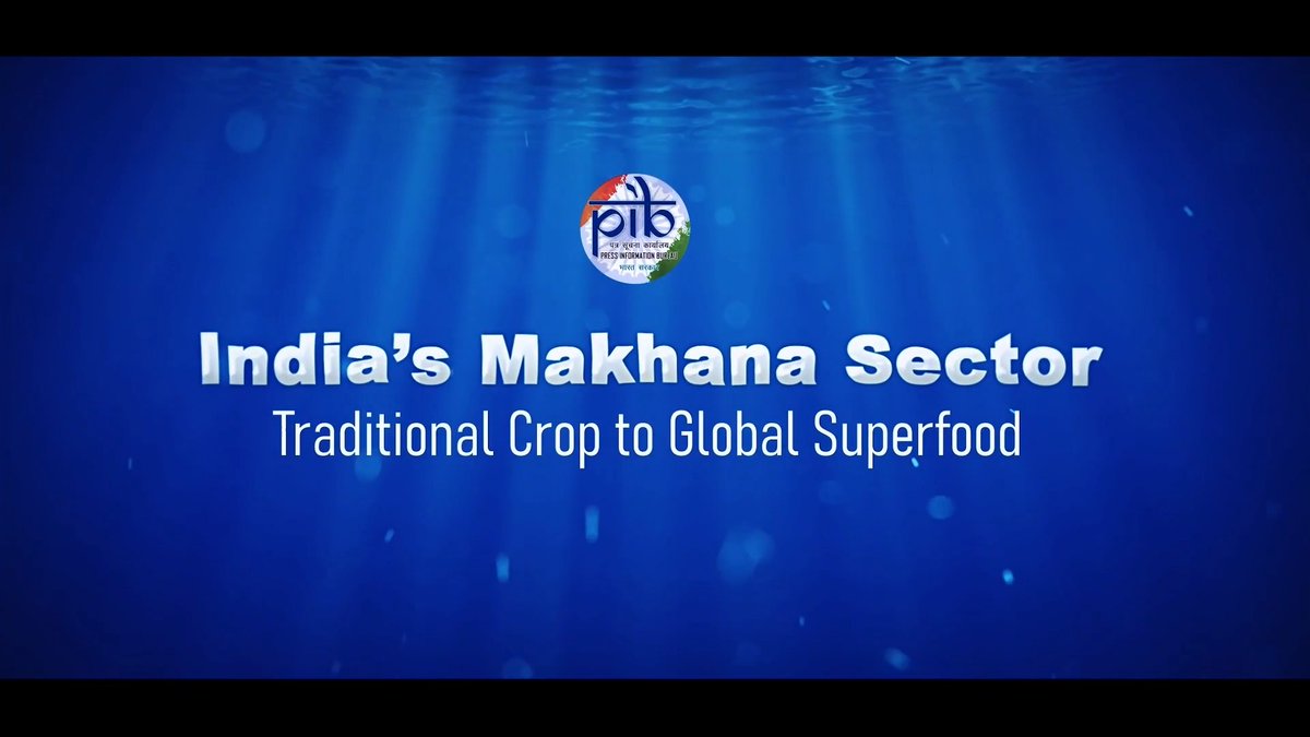 India’s Makhana: Growing Demand, Global Reach 💠 Makhana, or fox nut, has emerged as a fast-growing agri-food product in India. This is due to its nutritional value, rising health awareness, and increasing global demand 💠 India is the world's largest producer of #Makhana. Bihar contributes nearly three-fourths of the country's production and around 80–85% of the global supply. In 2025–26, India exported 7,264.89 MT of Makhana products (export value ₹19296.08 lakh) 📽️Watch the video and explore how Makhana is taking India to the world! More Details: