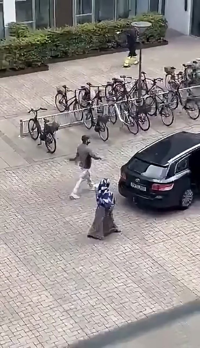 The usual suspects. Zelfs in Denemarken, daar leren ze er overigens wel beter van dan hier. Laten wij leren van de Denen. "Een mohammedaan gaat volledig door het lint tegen een onschuldige oude vrouw. Hij schreeuwt tegen haar dat ze een 'racist' en een 'oud stuk stront' is."