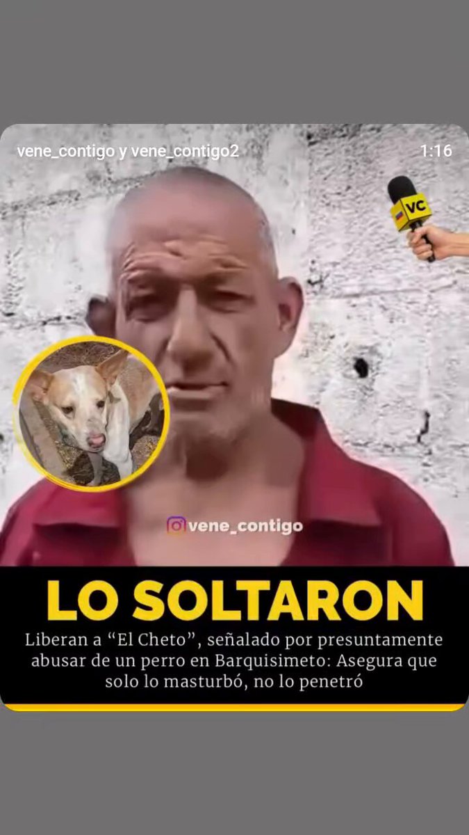 Liberaron al Cheto es sadico de Barquisimeto , que ultrajo al perrito haciéndose pasar por inocente 😠😠🤬