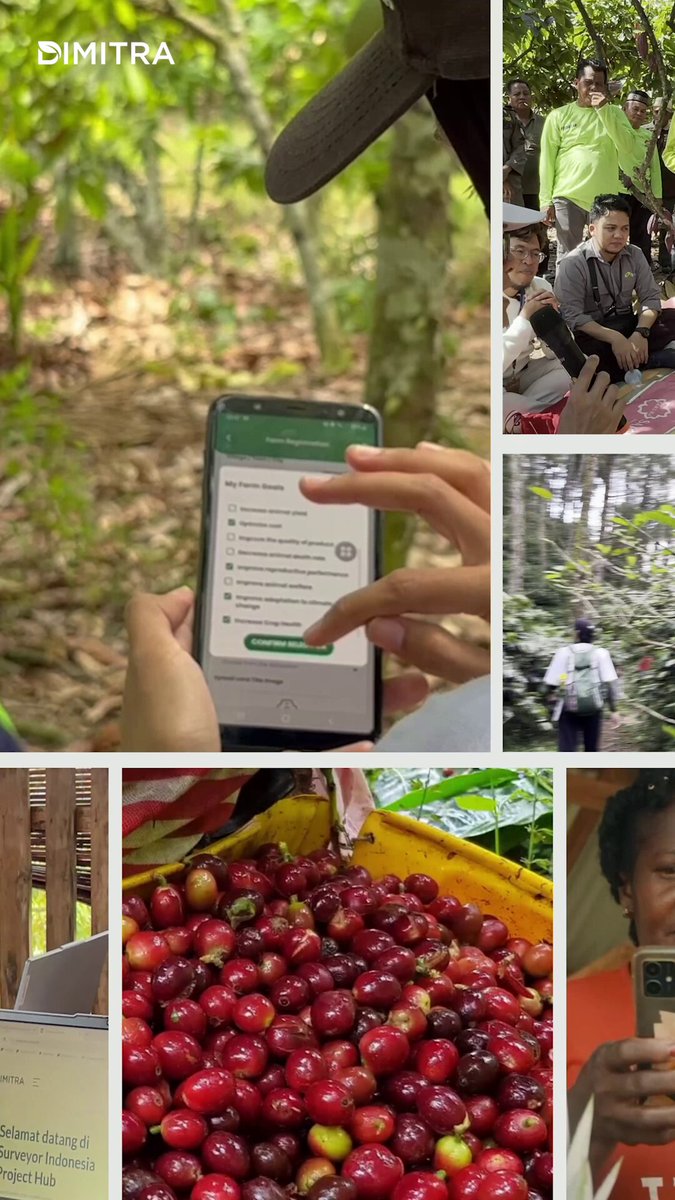 Three years ago, AgTech Breakthrough recognized Dimitra for the first time. This year, Dimitra Connected Farmer has been named the 2026 Overall AgTech Solution of the Year. See how Dimitra has changed the agricultural stage through technology in this video, from working fields in Mexico to national programs like ID Connect in Indonesia. More on the next chapter of Connected Farmer coming soon. #AgTech #ConnectedFarmer #Agriculture $DMTR